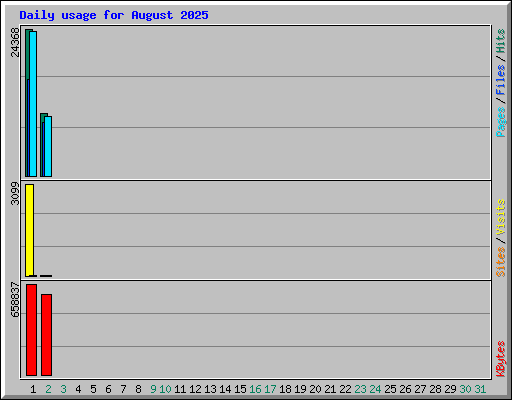 Daily usage for August 2025
