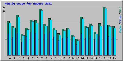 Hourly usage for August 2021