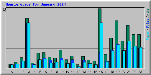 Hourly usage for January 2024