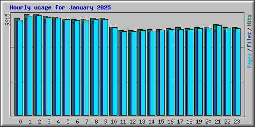 Hourly usage for January 2025