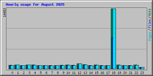 Hourly usage for August 2025